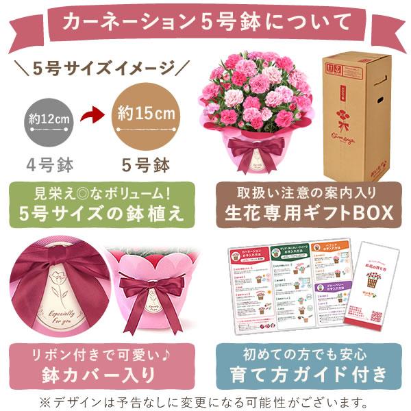 花とスイーツ 3