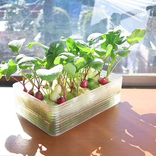 ミニ水耕菜園キットRA 7