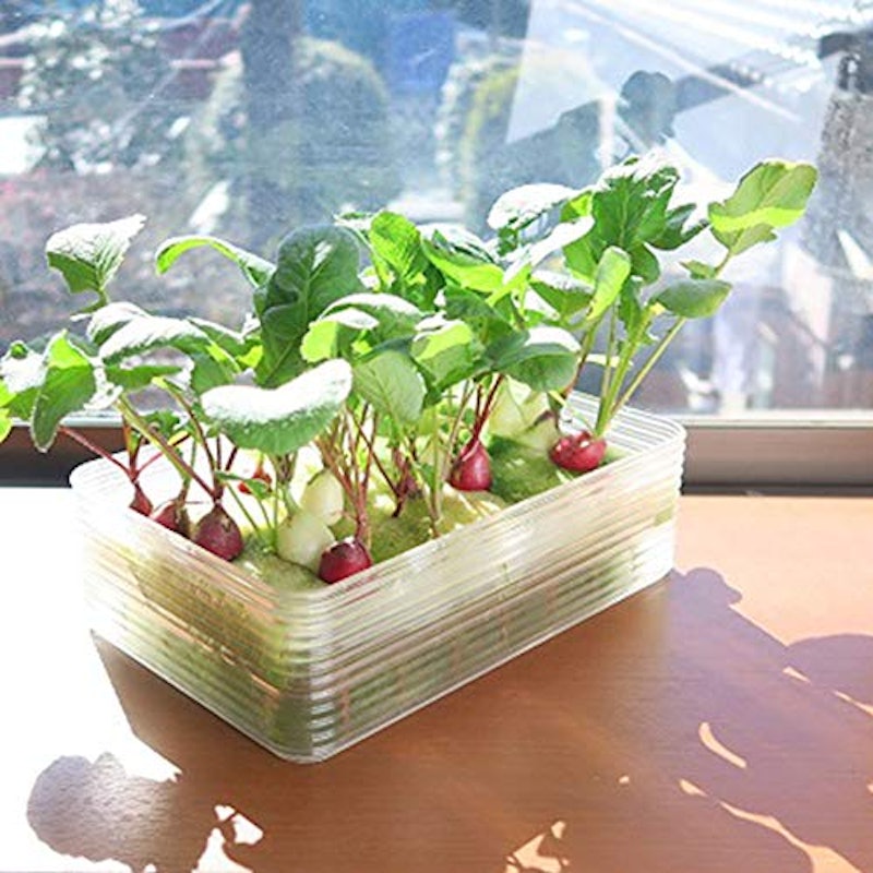 ミニ水耕菜園キットRA 7