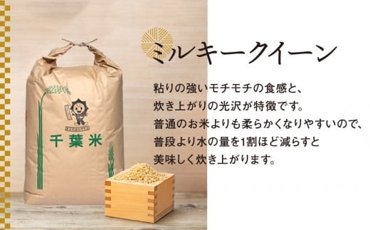 ミルキークイーン 玄米 2