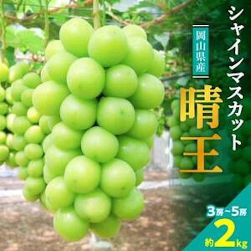 晴王 シャインマスカット ぶどう 1
