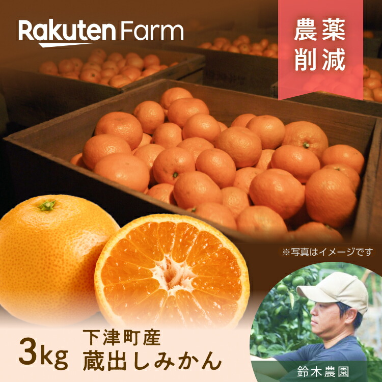 鈴木農園 蔵出しみかん 1