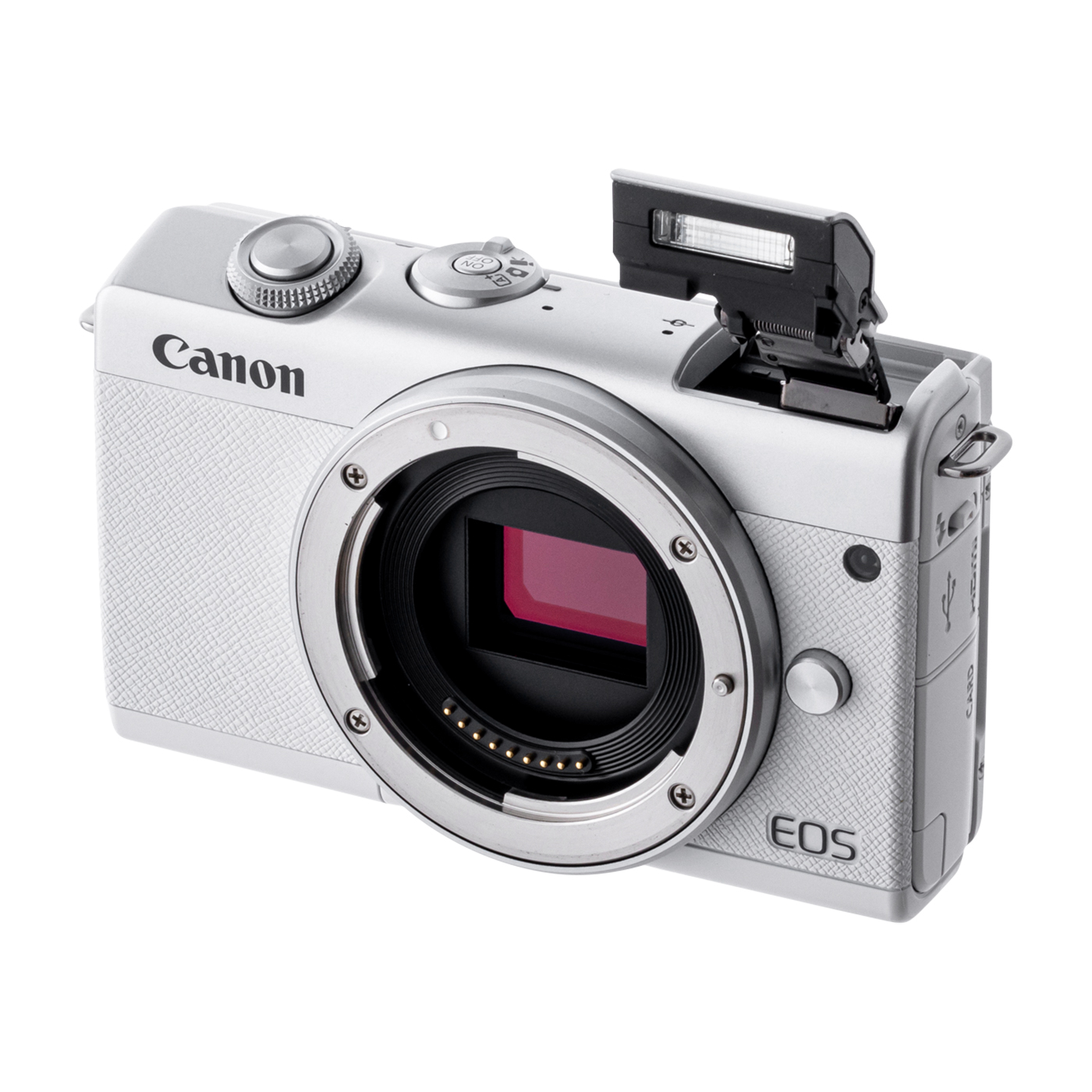 キヤノン EOS M200を検証レビュー！キヤノンのミラーレスの選び方も