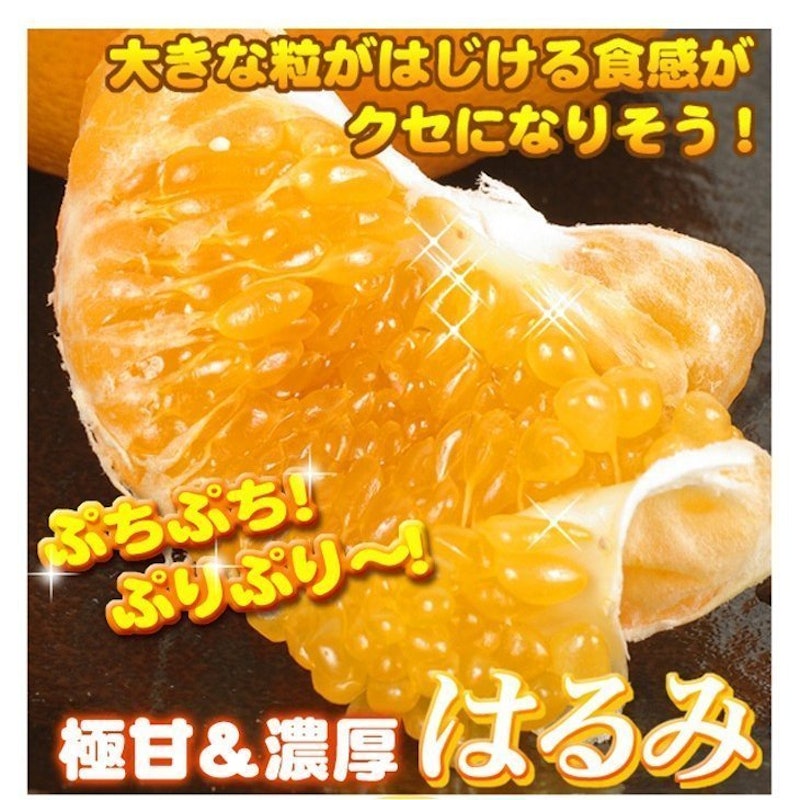 訳ありはるみ 4
