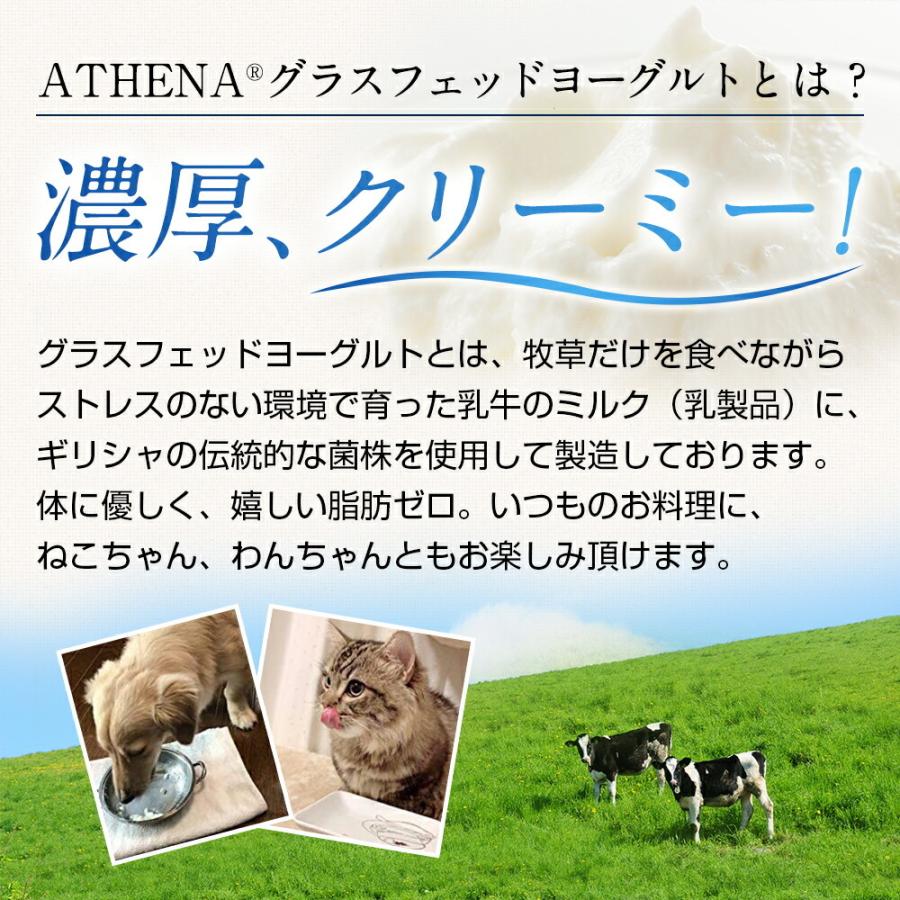 ATHENA グラスフェッドヨーグルト 3