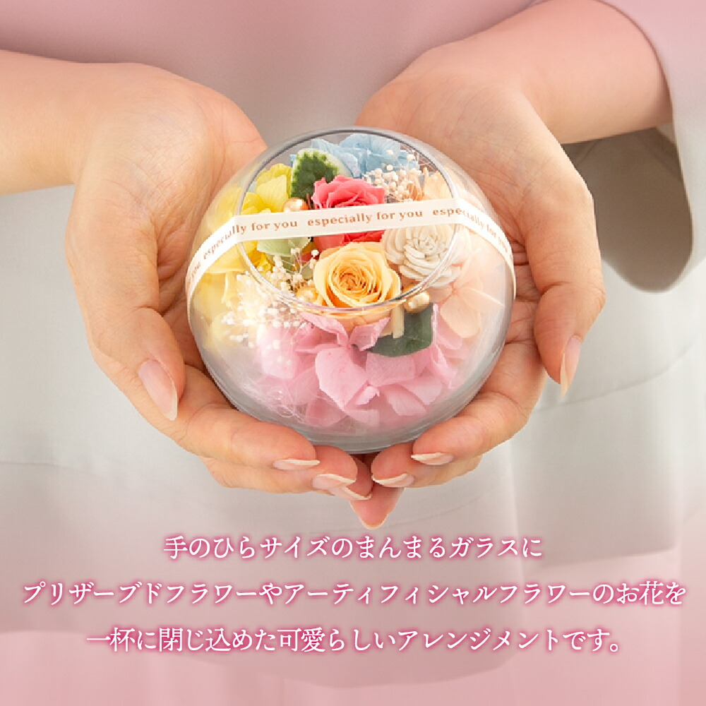 プチヴェールローズ 3
