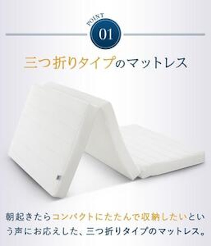 エアウィーヴ スマートZ01 1