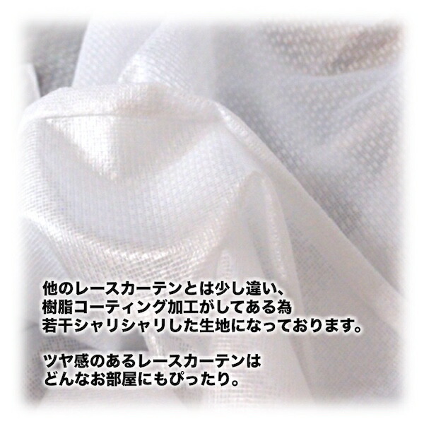 レースカーテン エコティオ 2