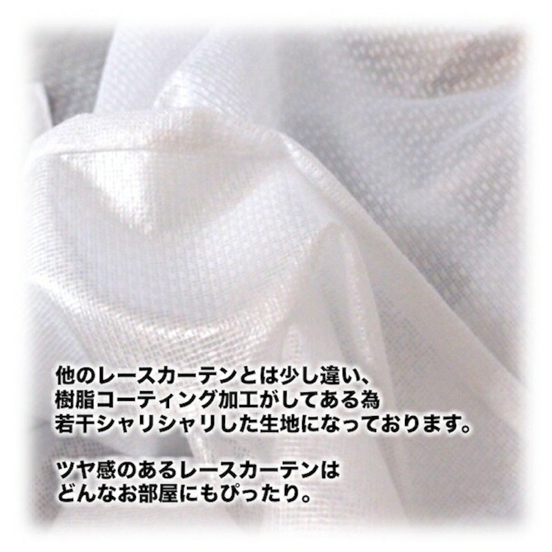 レースカーテン エコティオ 2
