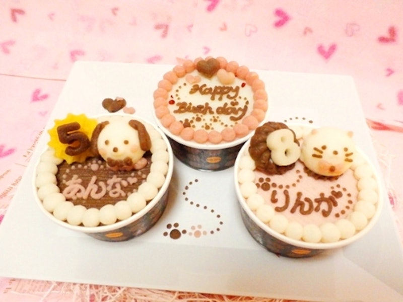 猫用ケーキ 2