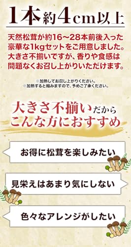 天然松茸 冷凍 大きさ不揃い 500g 2