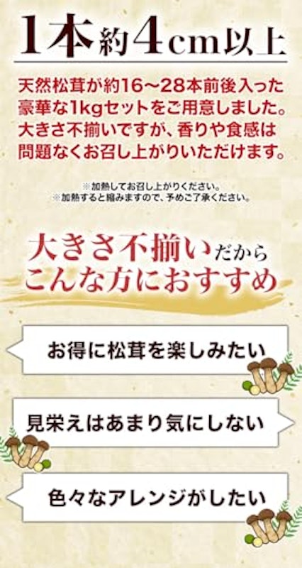 天然松茸 冷凍 大きさ不揃い 500g 2