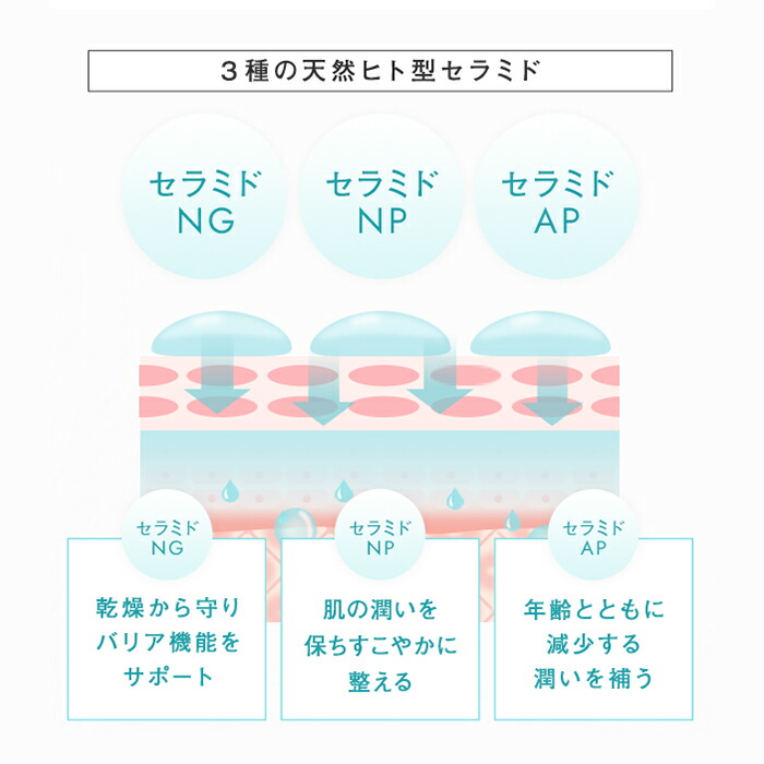 モイスチャーローション 10