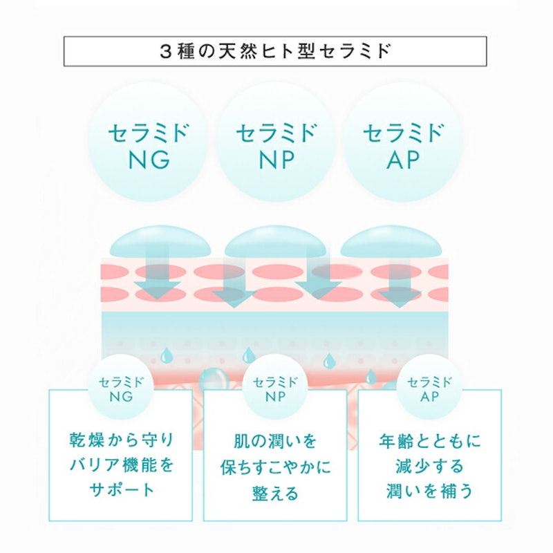 モイスチャーローション 10