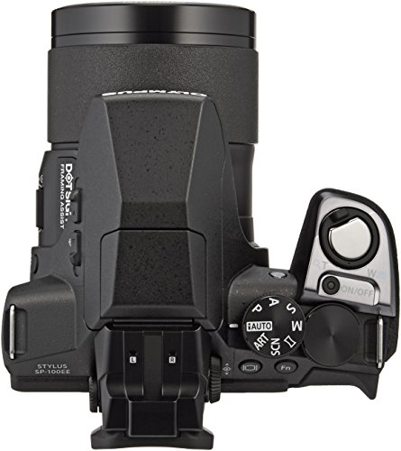 ネオ一眼のおすすめ人気ランキング【2026年1月】 | マイベスト