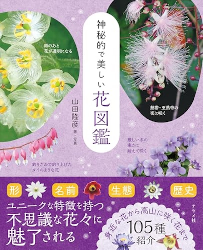 神秘的で美しい花図鑑 1