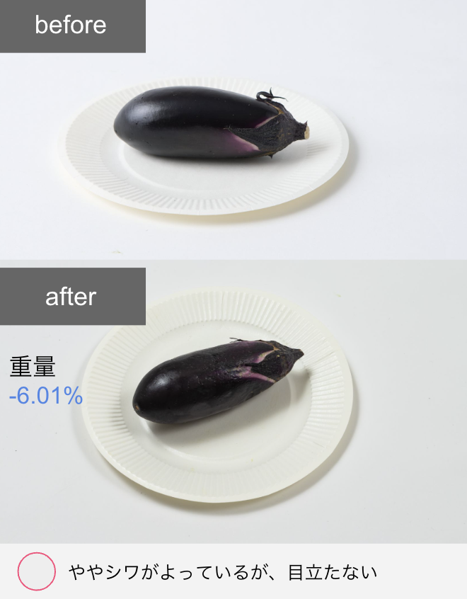 冷凍冷蔵庫 13