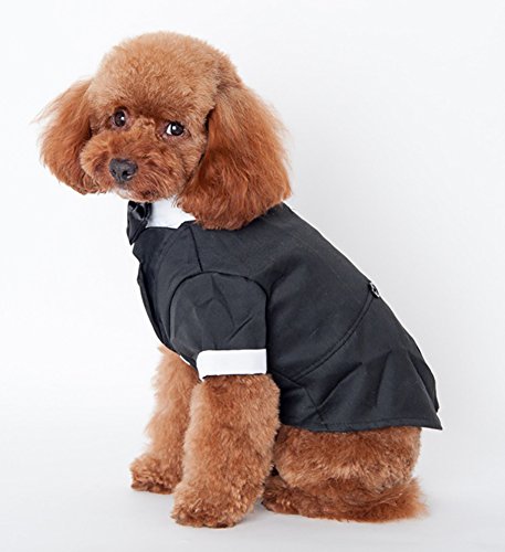 犬服猫服タキシード 2