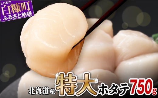 オホーツク産お刺身用ホタテ特大サイズ 1