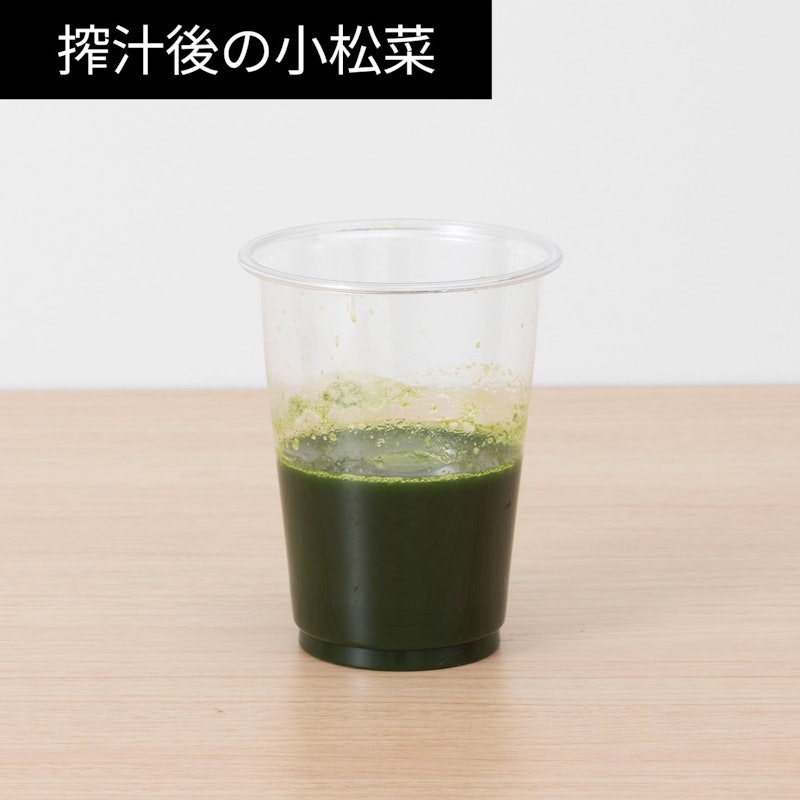 ミニスロージューサー 12