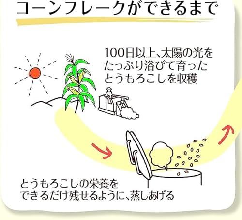 コーンフレーク 3
