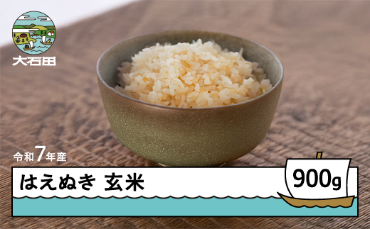 はえぬき 玄米  1