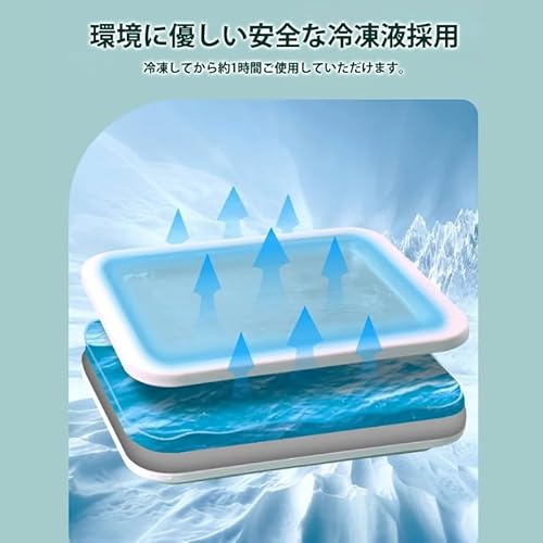 アイスクリームメーカー 6