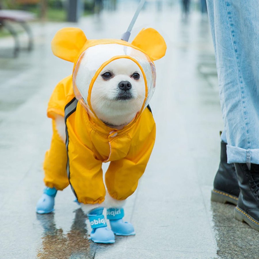 21年 犬用レインコートのおすすめ人気ランキング9選 Mybest