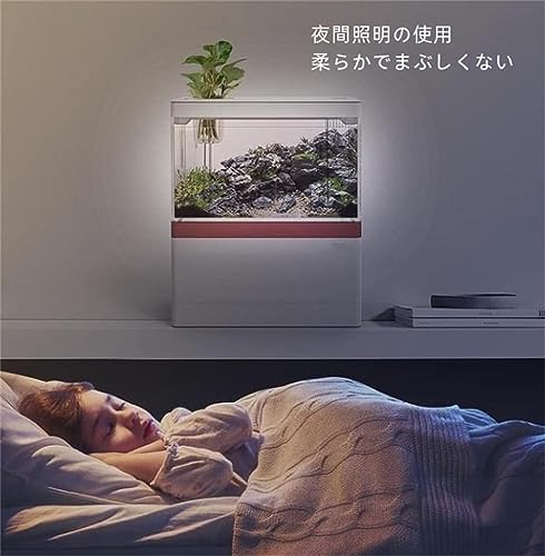 水槽 3