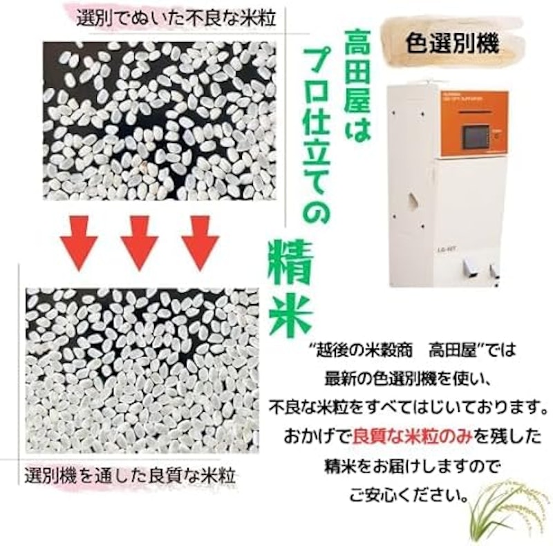 こしいぶき 3