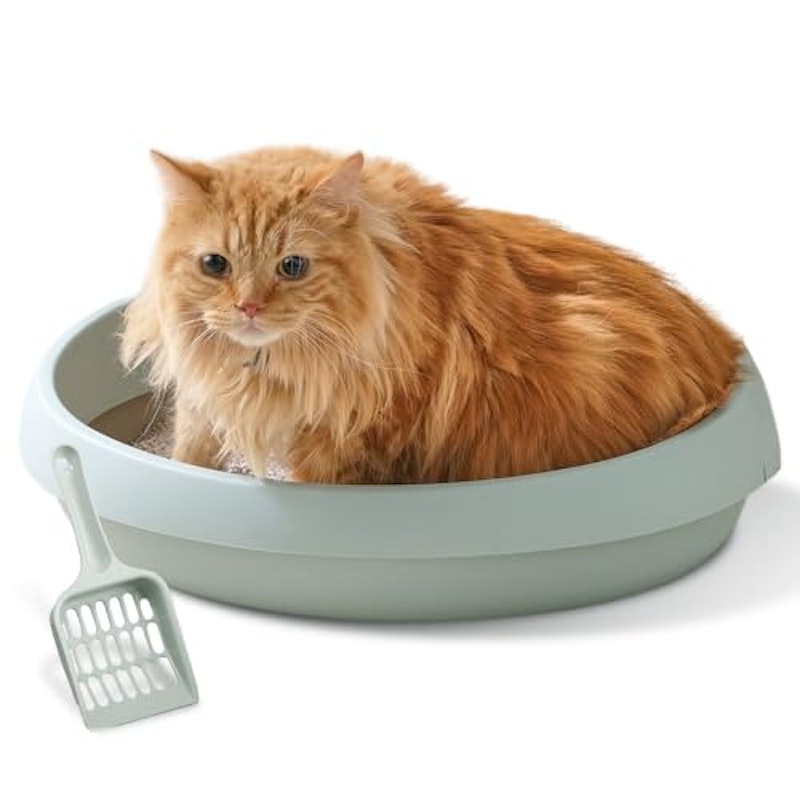 猫のトイレ 1