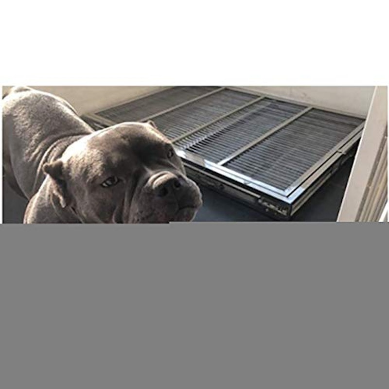 大型犬用トイレ 5