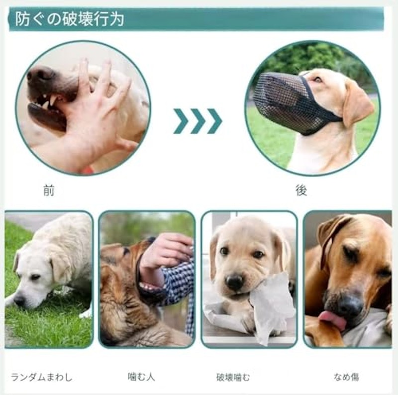 犬用マズル口輪 3