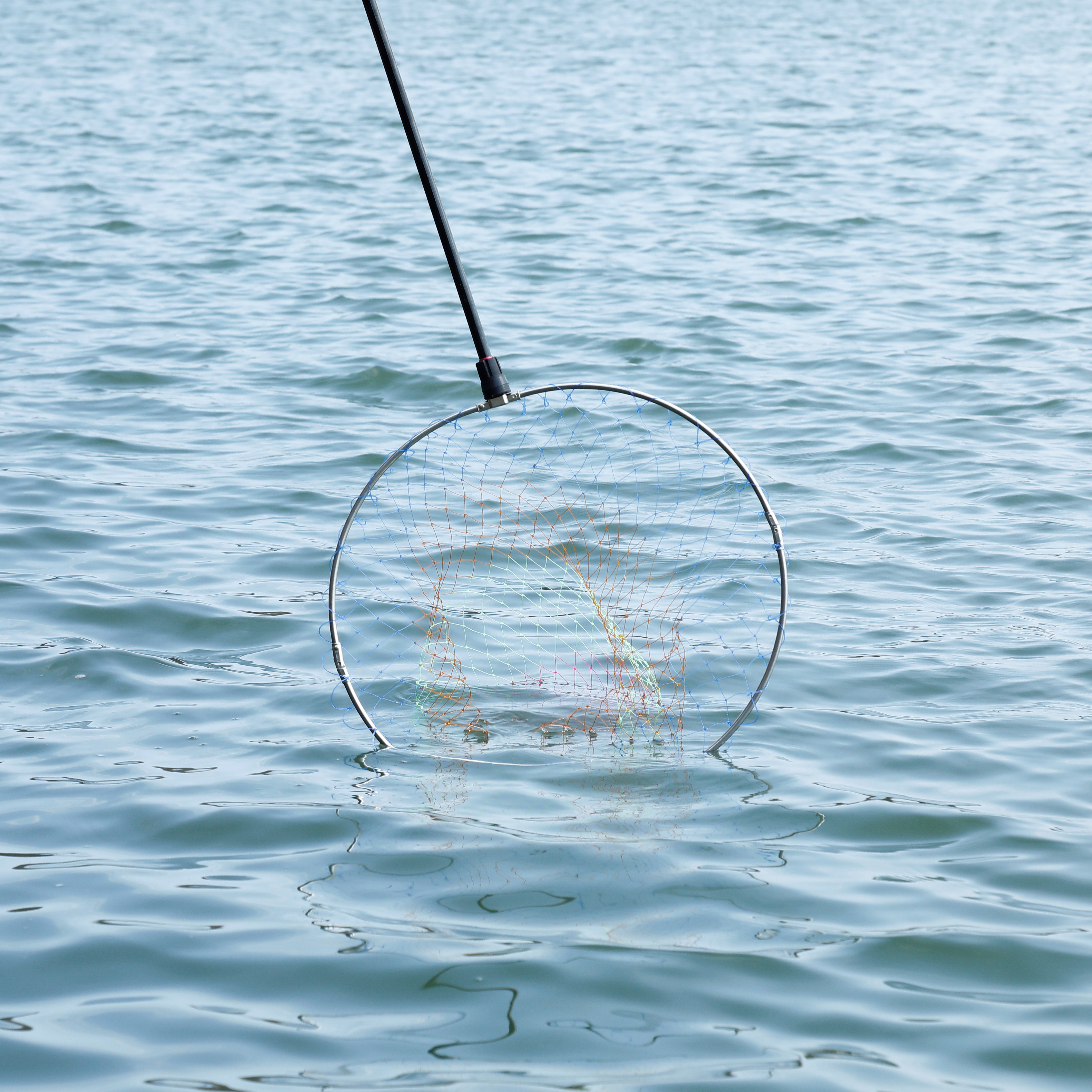 プロマリン エスランド磯玉セット550 11