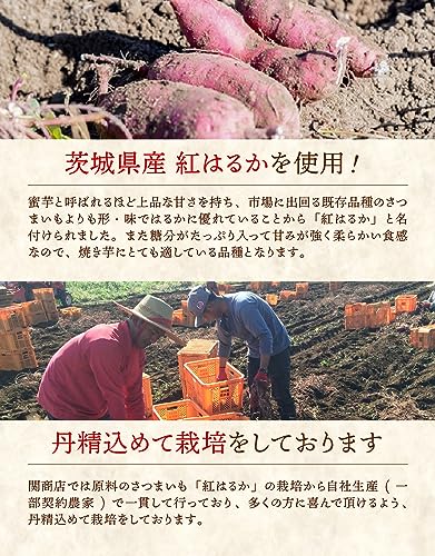 紅はるか 平干し芋 3