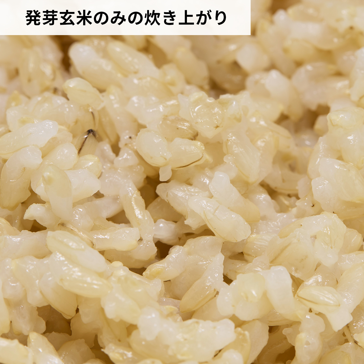 もっちり美味しい発芽玄米 6