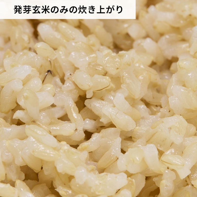 もっちり美味しい発芽玄米 6