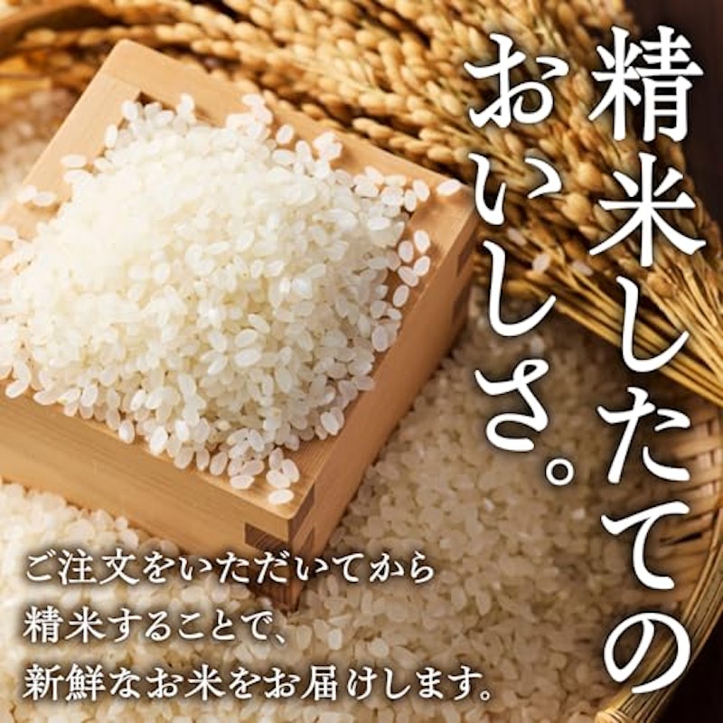 あきたこまち 6