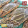 魚水島 ワタリガニ 1
