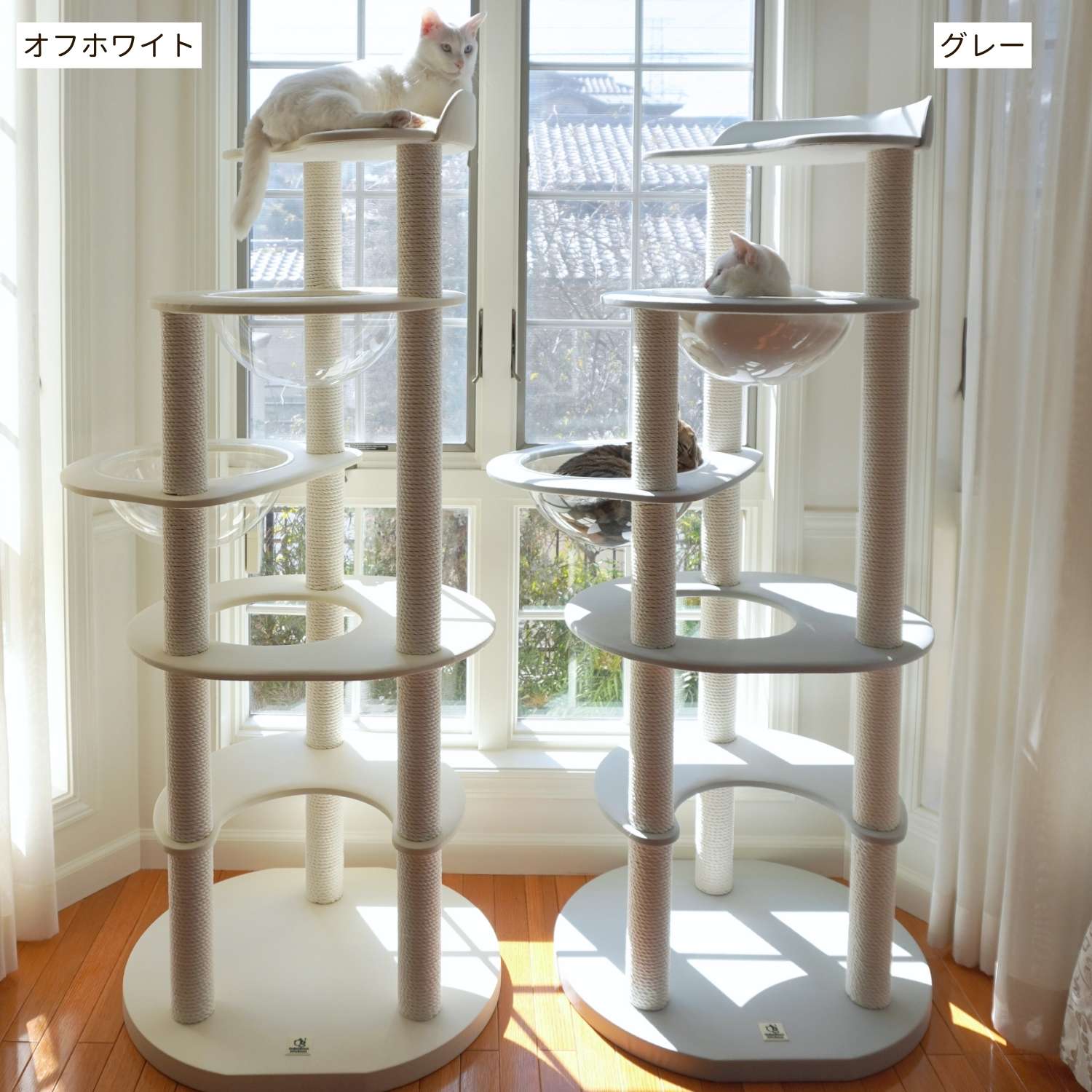 RESIDENCE 宇宙船タイプ 17