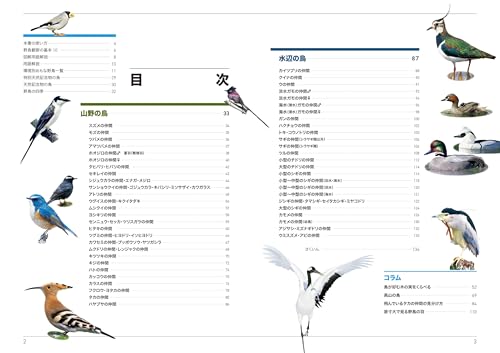 日本全国 バードウォッチング 野鳥 7冊 まとめ セット バードウォッチング基礎知識 図鑑 | 初心者でも安心 野鳥ガイド