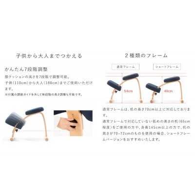 バランスイージー 通常フレーム カバーつき 3