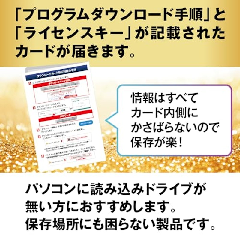 Voice Rep Pro 4 2