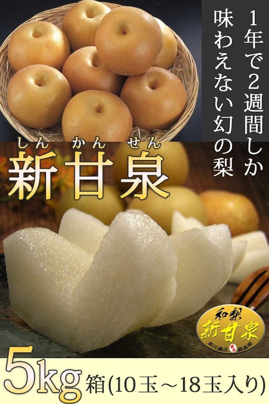 鳥取県産梨 新甘泉 1