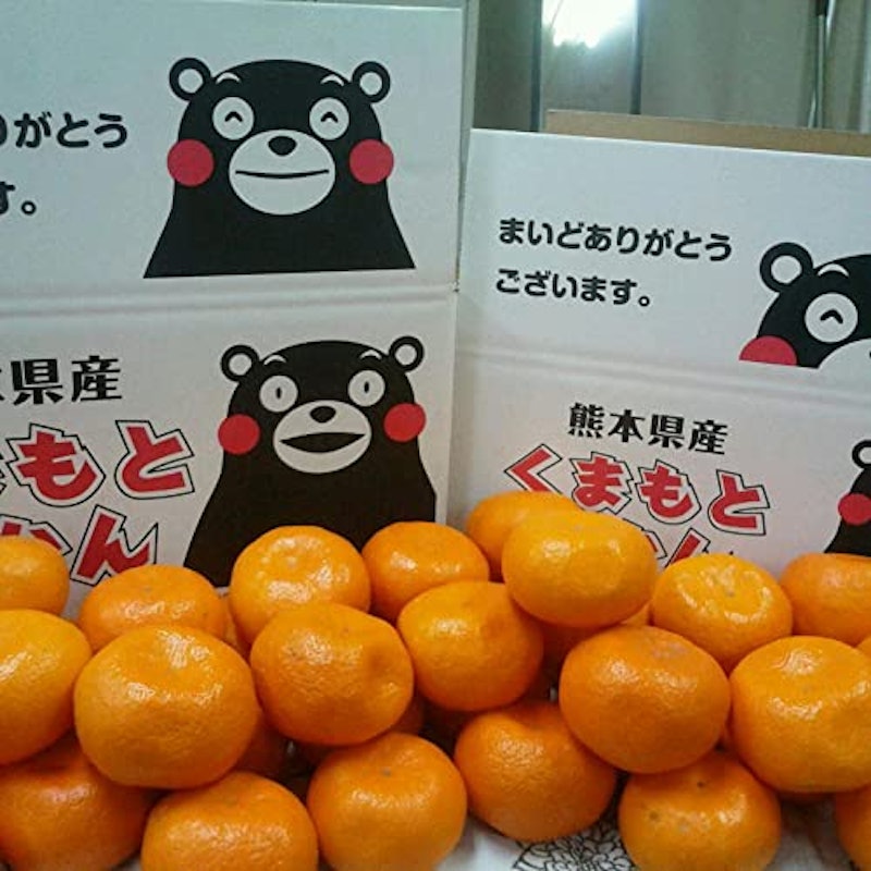 熊本産みかん 訳あり 1