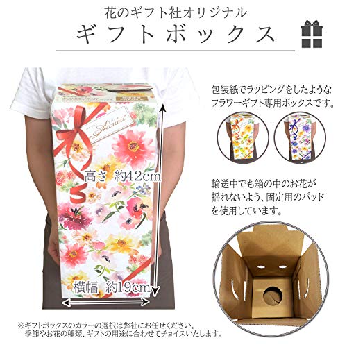 オリーブの木 3