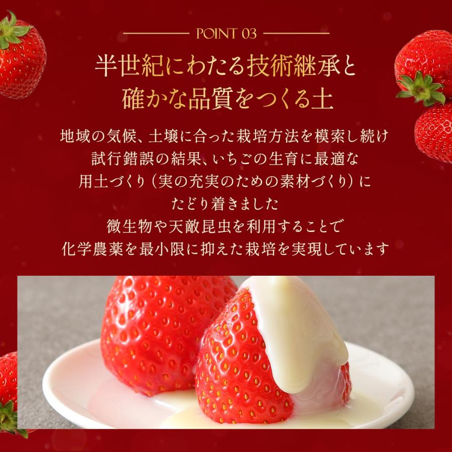 美しの香 クレオパトラおいCベリー 13