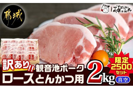 訳あり 観音池ポーク ロースとんかつ用 1