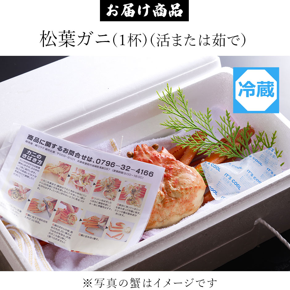 兵庫県水揚げ 松葉ガニ 11