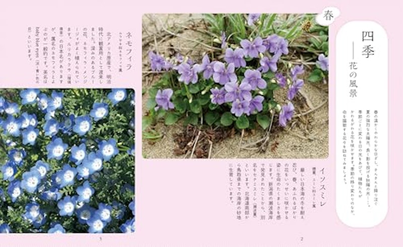 神秘的で美しい花図鑑 2